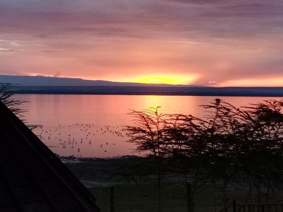 Sirville Lake Elementaita Lodge Gilgil Kültér fotó